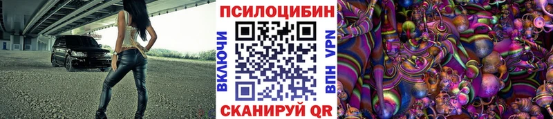 Купить закладки  Липецк  Псилоцибиновые грибы Psilocybe 